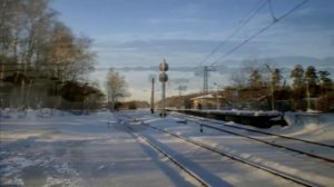 "Берёзы"  (Михаил Гулько)