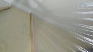 Покраска потолка,убираю плесень