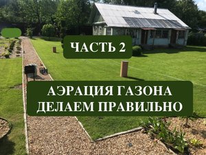 Аэрация газона правильно