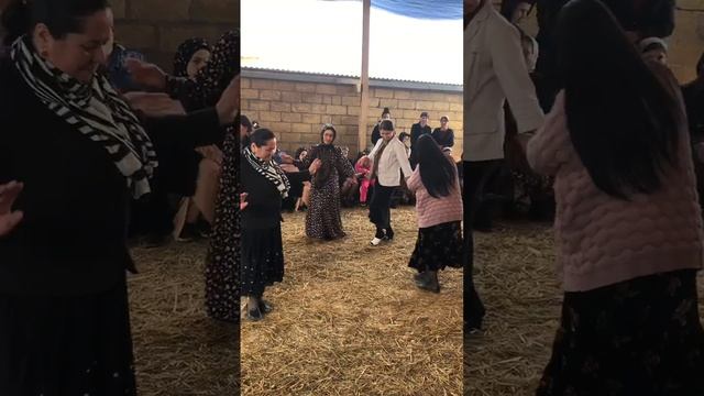 танец от красавиц Табасаранская свадьба смотреть онлайн