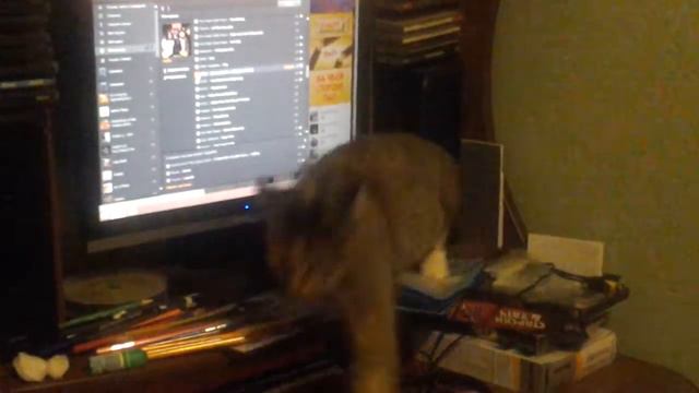 Рок кошка смотреть онлайн