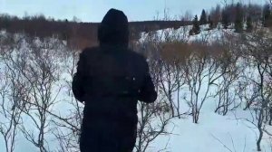 Выживание в тундре