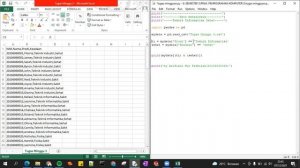 PROGRAM FILTER DATA EXCEL MENGGUNAKAN PYTHON