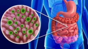 Кишечный грипп - причины, симптомы и лечение