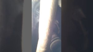 Как снять поддон двигателя на Nissan Cube az 10