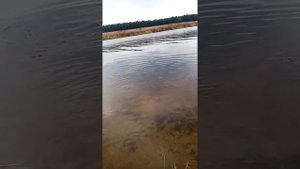 рыбалка на реке Тверца, Тверская губерния