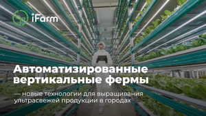 IFarm Автоматизированные вертикальные фермы