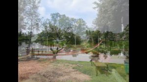 боровичи новгородская область