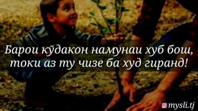 Сабр меваи ширин аст смотреть онлайн