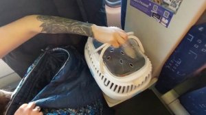 Перевозка крыс зимой | Популярные вопросы про то, как перевозить крыс