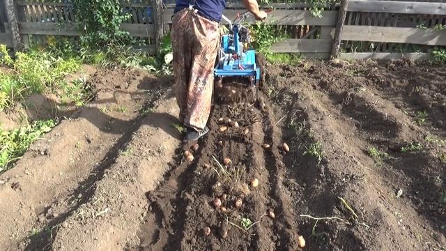 Картофель 2019 смотреть онлайн