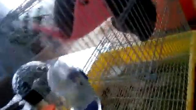 Крыса очень мило спит смотреть онлайн