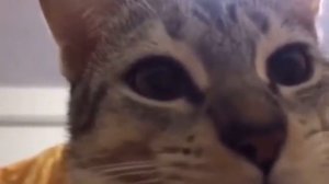 Ну и кто тут жрёт в 3 часа ночи