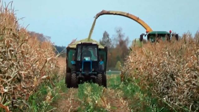 Уборка силоса 2018 смотреть онлайн