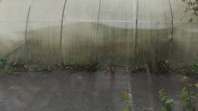 Деньги в кошелек...Каждому ??? смотреть онлайн