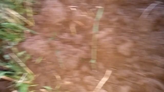 Коп 2017 с E-Trac. Необычайный коп на поле Ч.9 (шведская монета в темноте) смотреть онлайн