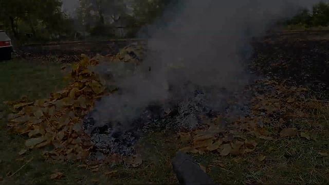 Палим костер. Сжигаем сырые листья при помощи садового пылесоса или воздуходувки.