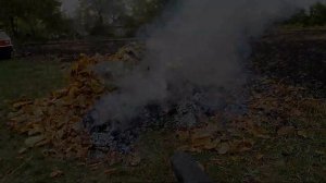 Палим костер. Сжигаем сырые листья при помощи садового пылесоса или воздуходувки.