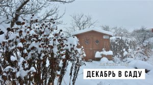 Это так красиво! САД в ДЕКАБРЕ  Обзор зимнего сада в природном стиле