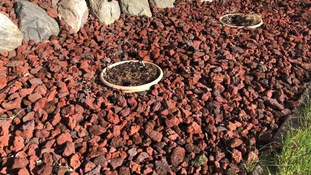 Fall transformation Part 2 | www.gardencrossings.com смотреть онлайн