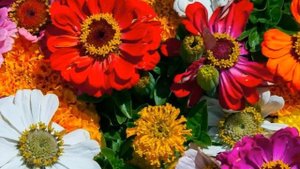 Вальс цветов   П.И.Чайковский РЕМИКС   (Lavitas Remix)