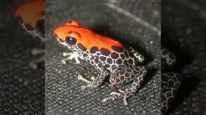 Как стать счастливым? Сжатие и расширение души, Божественность и демонизм, 149