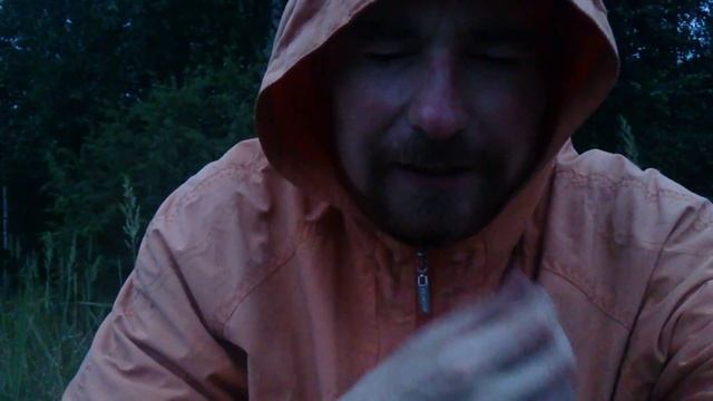 Вечер перед сном смотреть онлайн