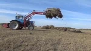 Сильнее МТЗ 80 только трактор Беларусь. Везёт 2 Арбы и 1 прицеп.