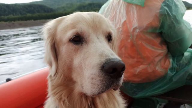 Рыбалка в городе 22.07.2020г