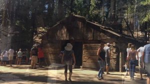 Путешествие: Национальный парк Секвойя/ Sequoia National Park. Часть 1. 2019. Калифорния. Америка