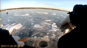 Рыбалка по перволедью  Ловля окуня на блесну