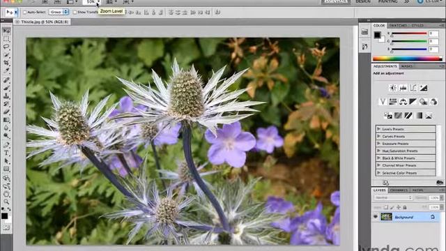 Adobe Photoshop CS5 Tutorial - AppBar - CH 7 - lesson 01 of 10 смотреть онлайн