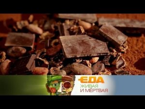 "Еда живая и мёртвая": пять фактов о шоколаде и тонкости рациона спортсменов  (10.02.2018)