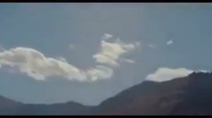 Сколько волка не корми он волк и есть