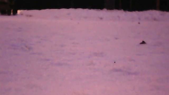 Квадракоптера Syma X5SW - Уфа - Парк Лесоводов смотреть онлайн