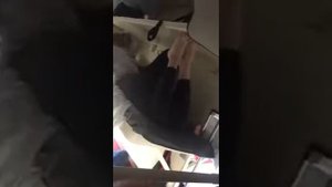 «Трутся гениталиями!» - сумасшедшая бабка в поезде