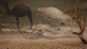 Библейские пейзажи