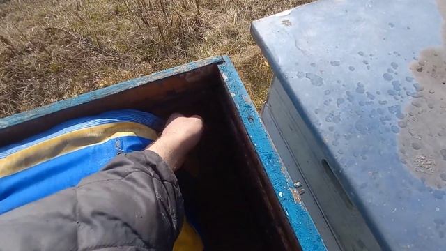 Большая влажность в улье, убираем фольгоизол. 05.03.2023 смотреть онлайн