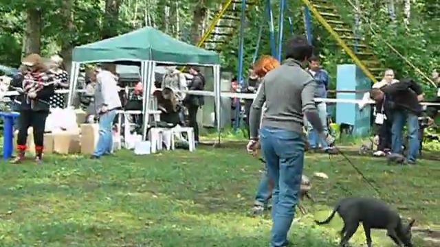 Национальная выставка ксолоитцкуинтли 2010 год