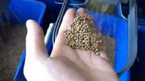 Воздушный сепаратор Алмаз. Очистка кориандра