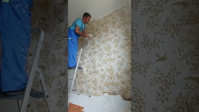 Косметический ремонт на детская комната смотреть онлайн