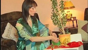 Фэн-шуй. Как привлечь в свой дом деньги?