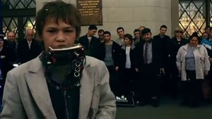 Светлана Питерская Название: Серые цветы