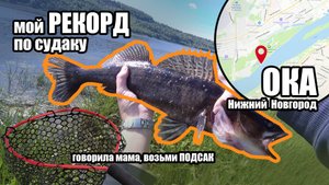 Рыбалка на спиннинг взабродку на Оке в черте Нижнего Новгорода, нашел точку, которая сделала рыбалку