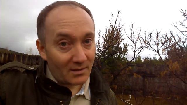 Психология взаимоотношений на примере куста смотреть онлайн