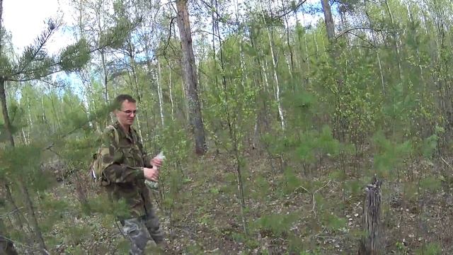 Сморчки.Сбор сморчков.Весенние грибы.Строчки.Тихая охота.