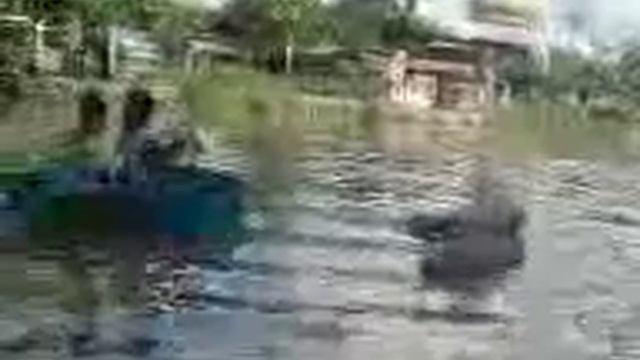 Gila main RC Boat смотреть онлайн