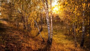 #УхожуЯВМирПриродыОсень - Саратовская область, Екатериновский район, посёлок Индустриальный