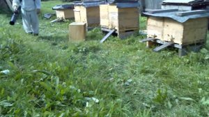 Выдувание пчел из магазинных надставок