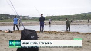 Браконьеры ловят горбушу "тройником"